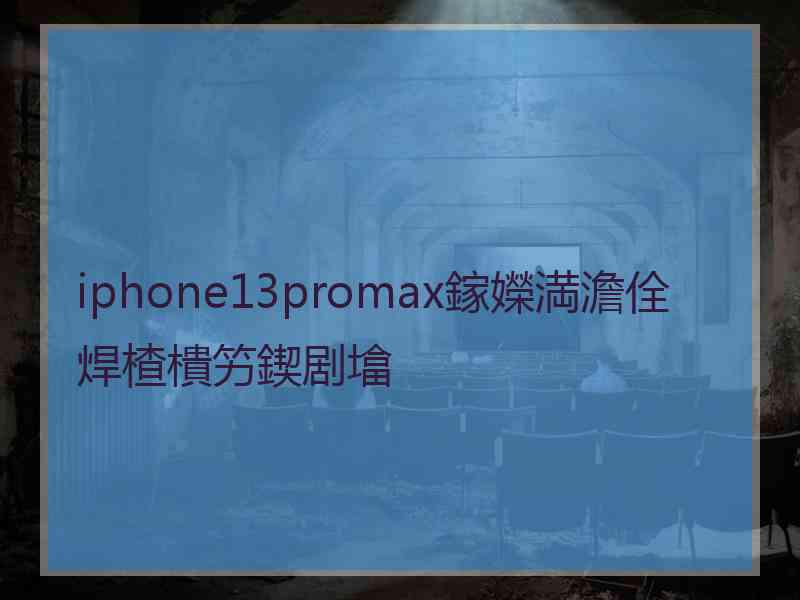 iphone13promax鎵嬫満澹佺焊楂樻竻鍥剧墖