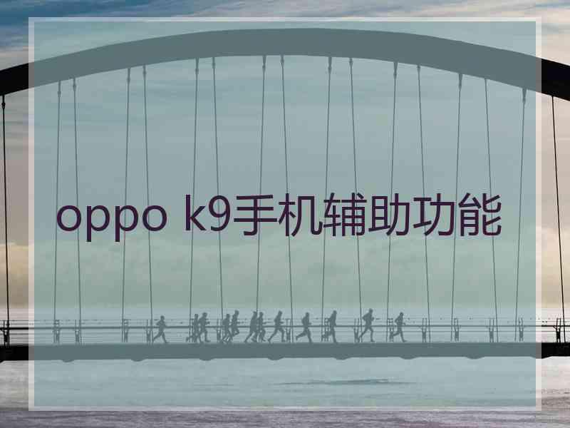 oppo k9手机辅助功能