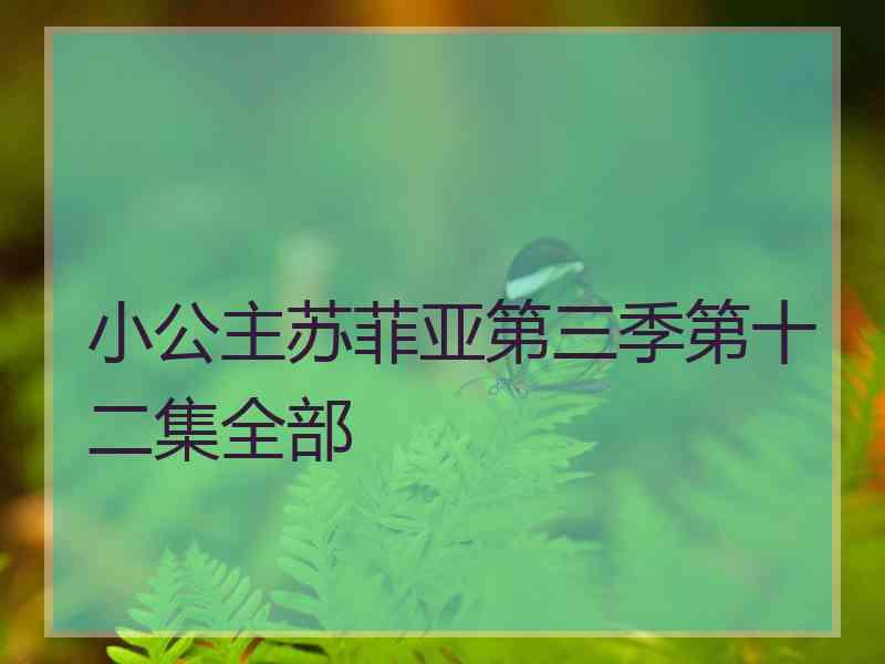 小公主苏菲亚第三季第十二集全部