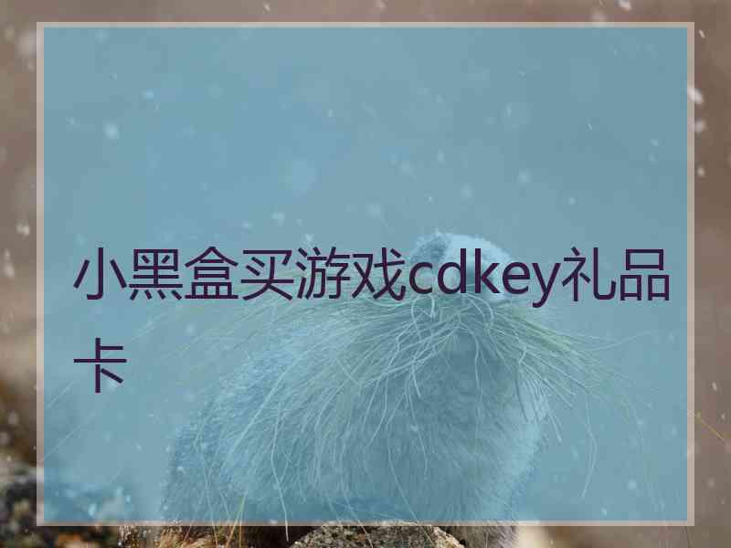 小黑盒买游戏cdkey礼品卡