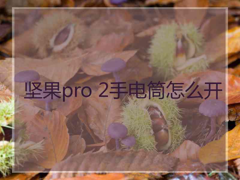 坚果pro 2手电筒怎么开