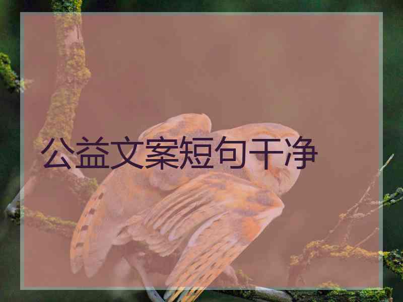 公益文案短句干净