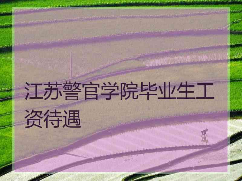 江苏警官学院毕业生工资待遇