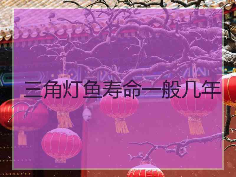 三角灯鱼寿命一般几年