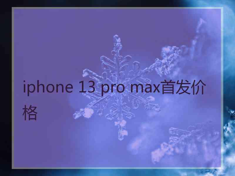 iphone 13 pro max首发价格