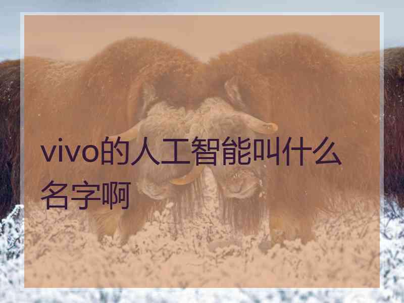 vivo的人工智能叫什么名字啊