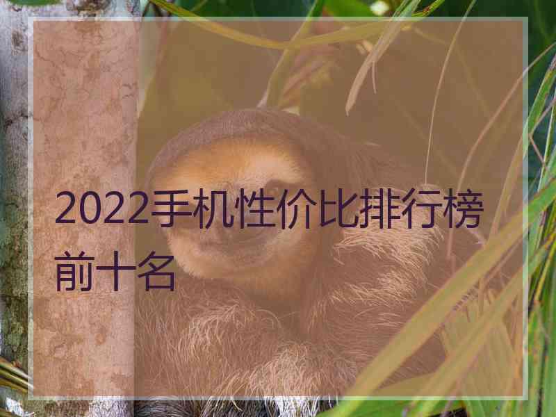 2022手机性价比排行榜前十名