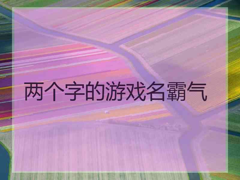 两个字的游戏名霸气