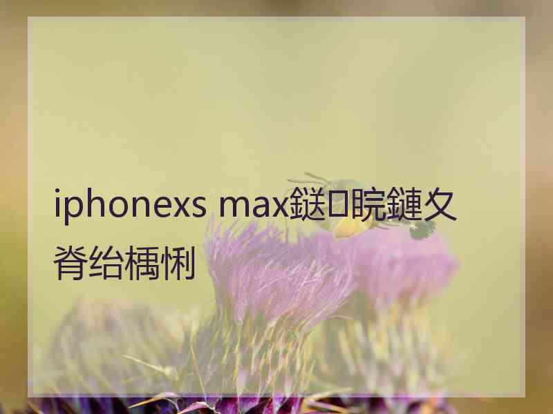 iphonexs max鎹㈠睆鏈夊脊绐楀悧