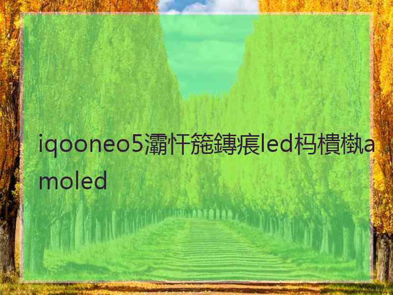 iqooneo5灞忓箷鏄痮led杩樻槸amoled