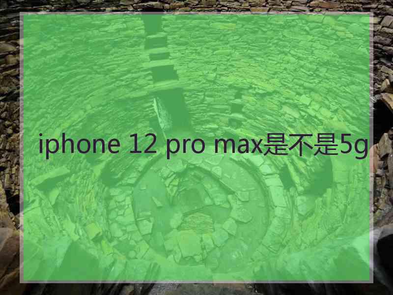 iphone 12 pro max是不是5g