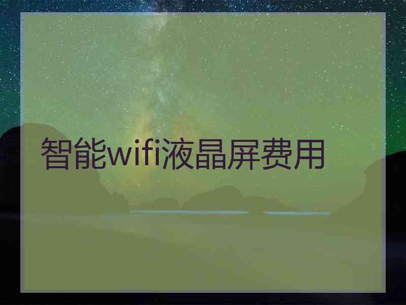 智能wifi液晶屏费用