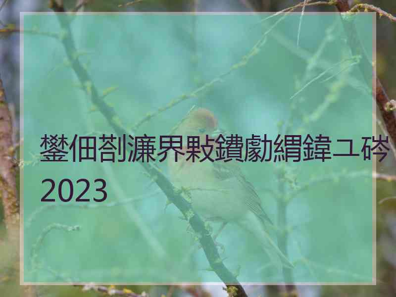 鐢佃剳濂界敤鐨勮緭鍏ユ硶2023