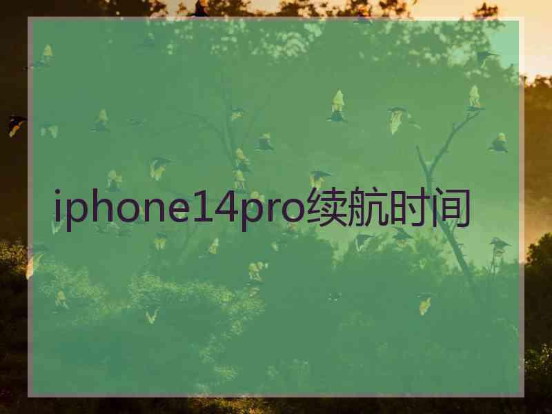 iphone14pro续航时间