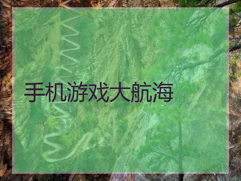 手机游戏大航海