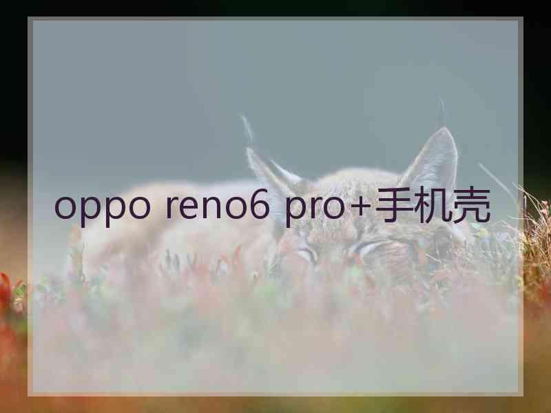 oppo reno6 pro+手机壳