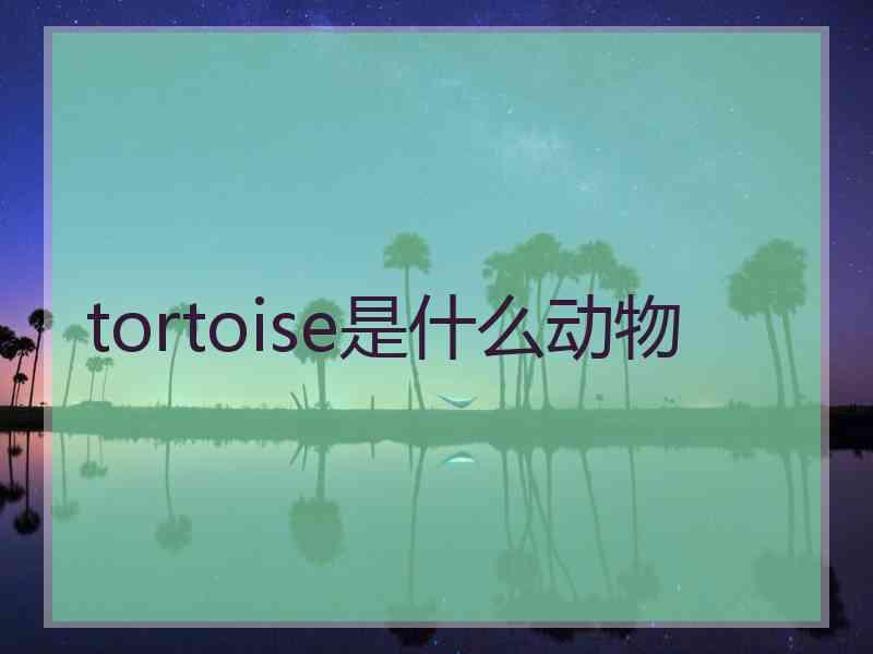 tortoise是什么动物