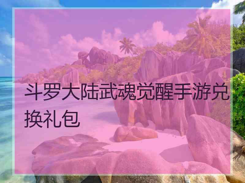 斗罗大陆武魂觉醒手游兑换礼包