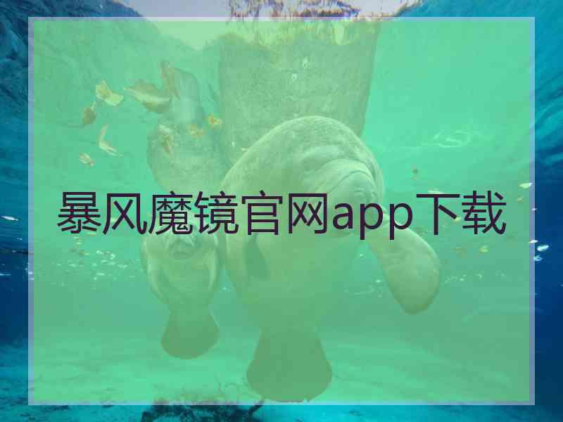 暴风魔镜官网app下载