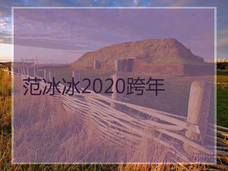 范冰冰2020跨年