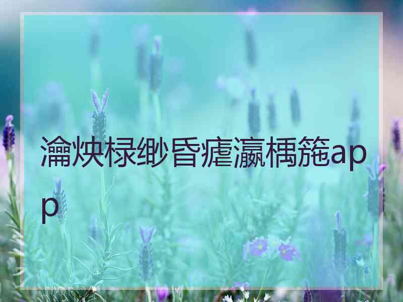 瀹炴椂缈昏瘧瀛楀箷app