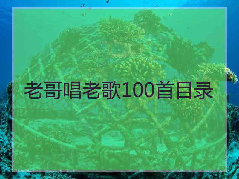 老哥唱老歌100首目录