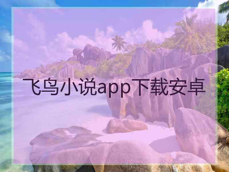 飞鸟小说app下载安卓