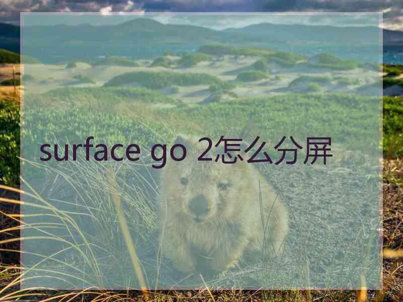 surface go 2怎么分屏