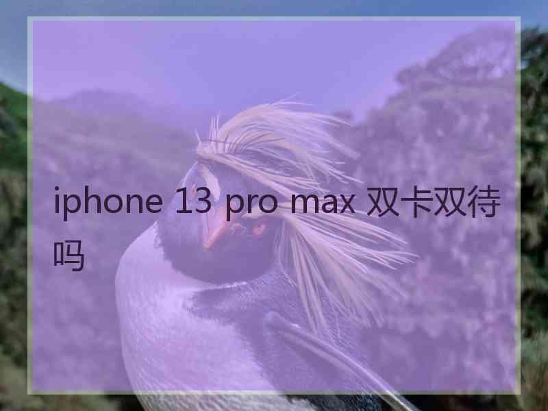 iphone 13 pro max 双卡双待吗