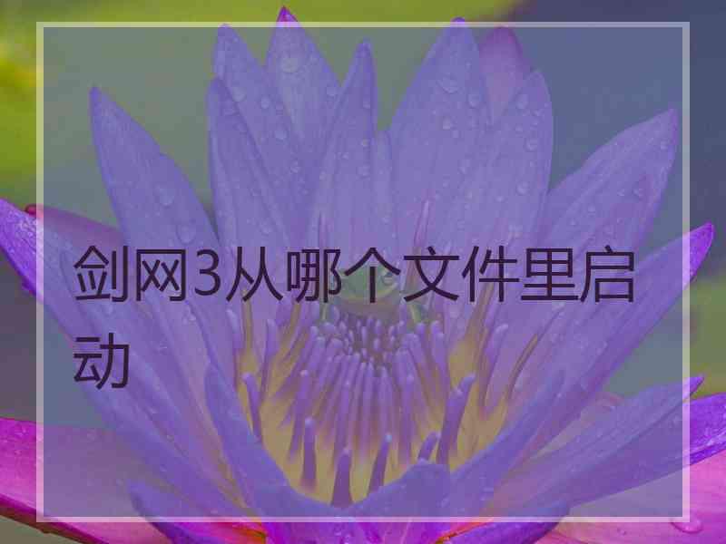 剑网3从哪个文件里启动