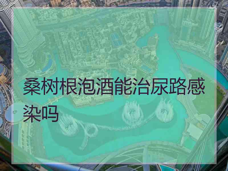 桑树根泡酒能治尿路感染吗