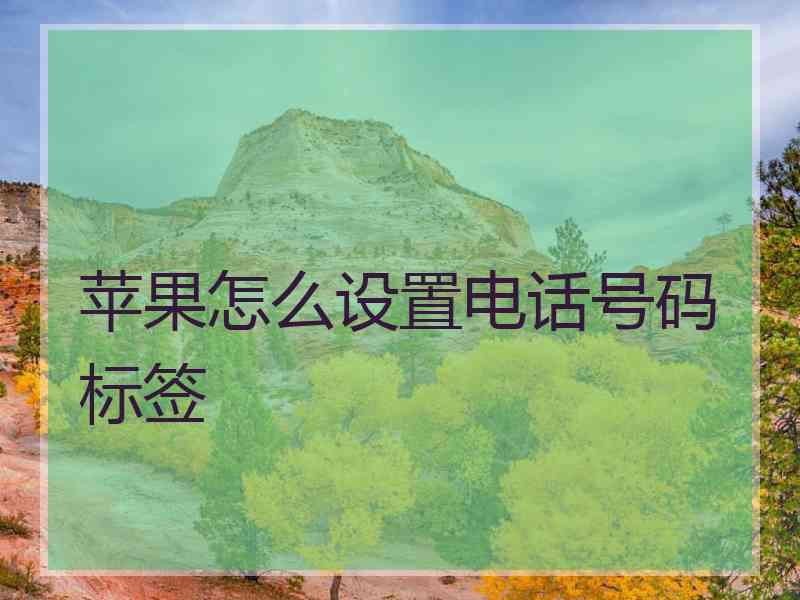 苹果怎么设置电话号码标签