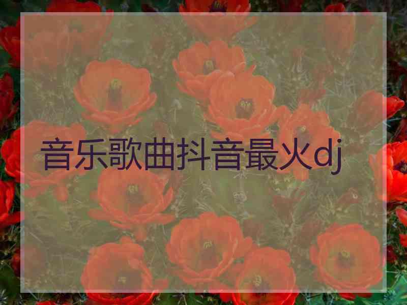 音乐歌曲抖音最火dj