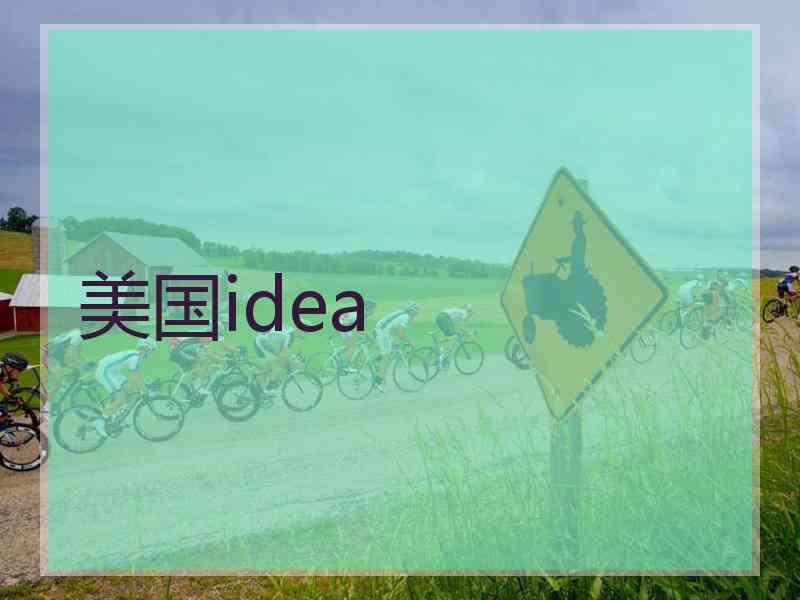 美国idea