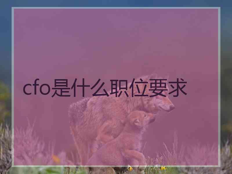 cfo是什么职位要求