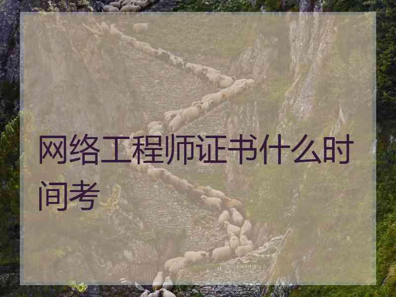 网络工程师证书什么时间考