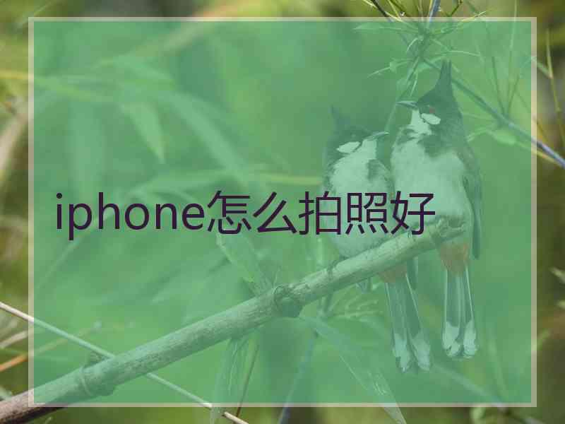 iphone怎么拍照好