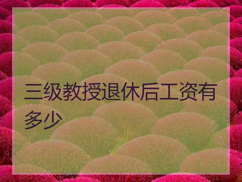 三级教授退休后工资有多少