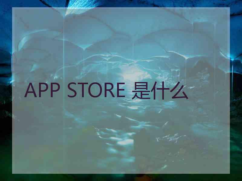 APP STORE 是什么