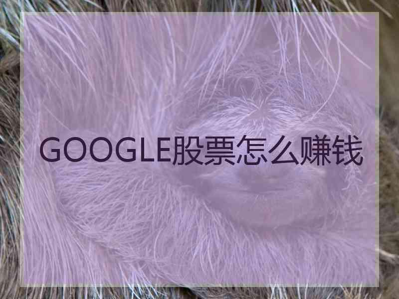 GOOGLE股票怎么赚钱