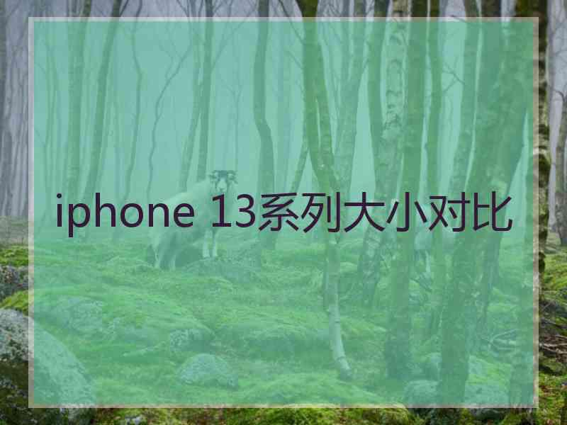 iphone 13系列大小对比