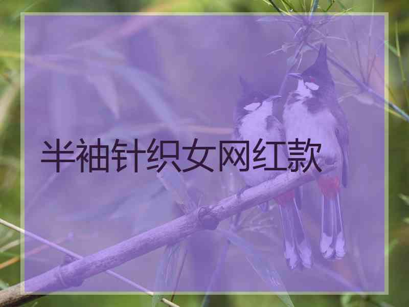 半袖针织女网红款