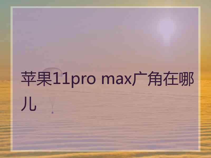 苹果11pro max广角在哪儿