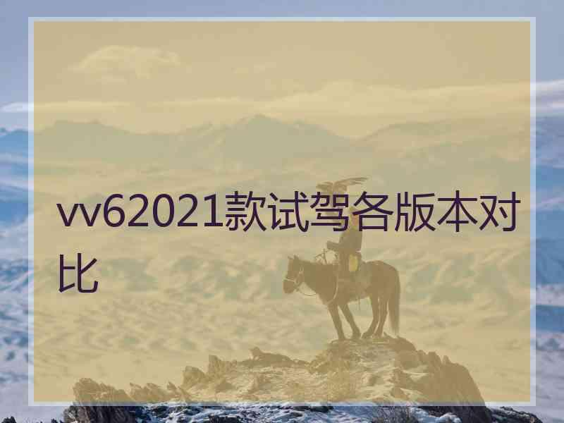 vv62021款试驾各版本对比