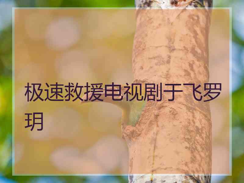 极速救援电视剧于飞罗玥