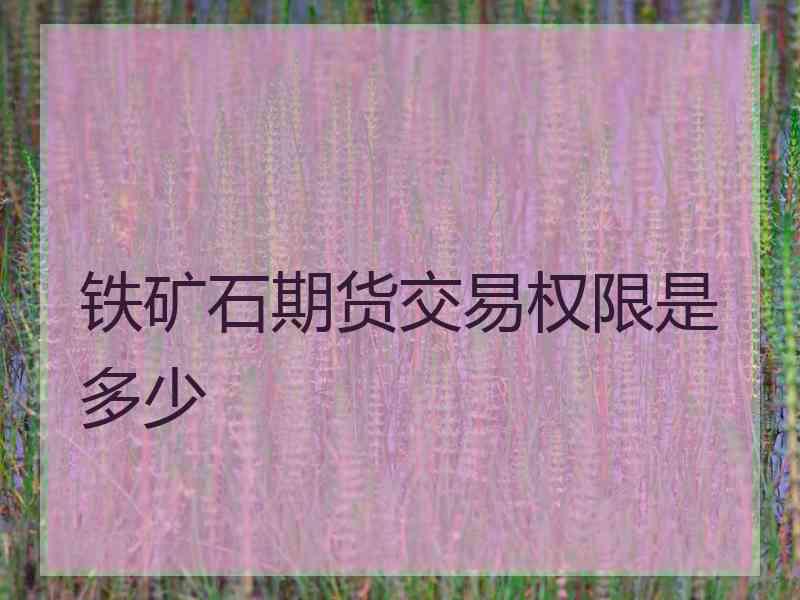 铁矿石期货交易权限是多少