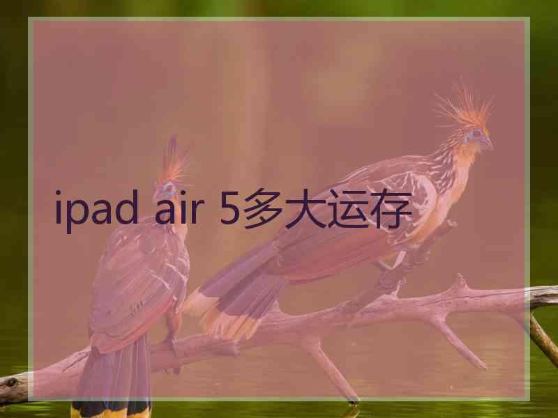 ipad air 5多大运存