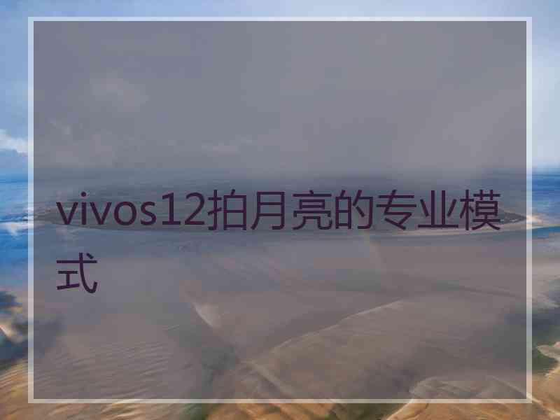 vivos12拍月亮的专业模式