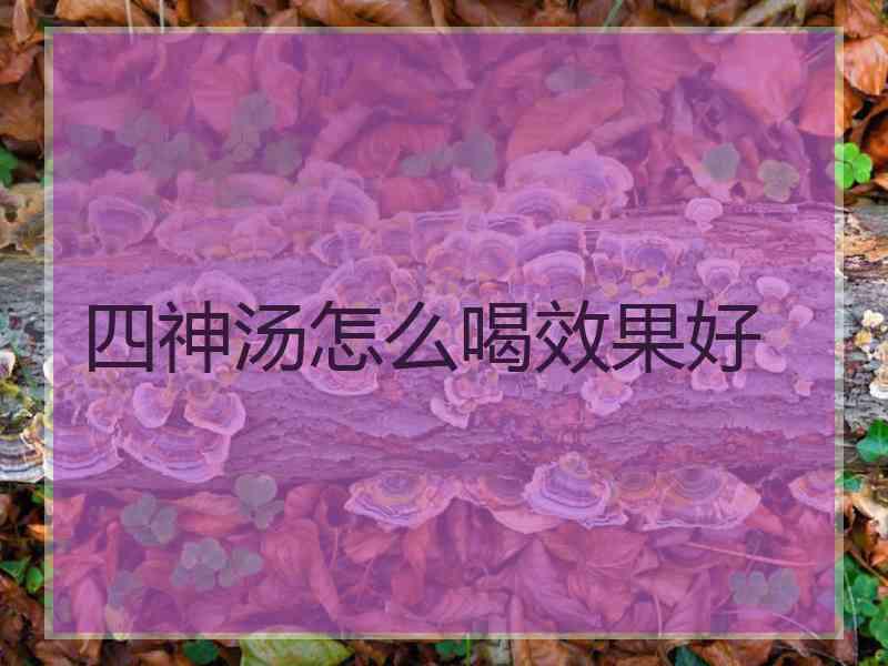 四神汤怎么喝效果好