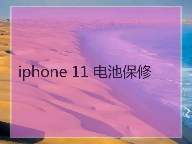 iphone 11 电池保修